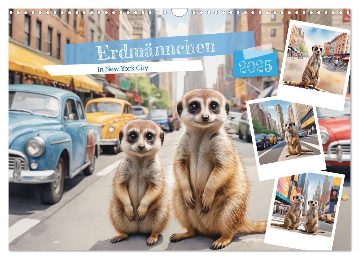 Cover: 9783383797910 | Erdmännchen in New York City (Wandkalender 2025 DIN A3 quer),...