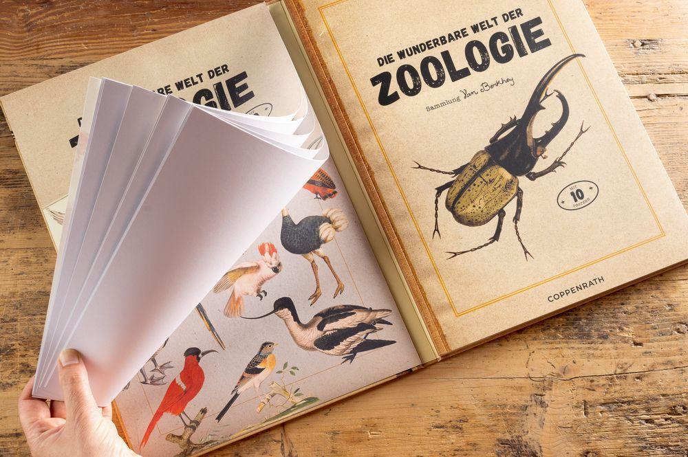 Bild: 9783649643777 | Die wunderbare Welt der Zoologie | Eine illustrierte Naturkunde | Buch