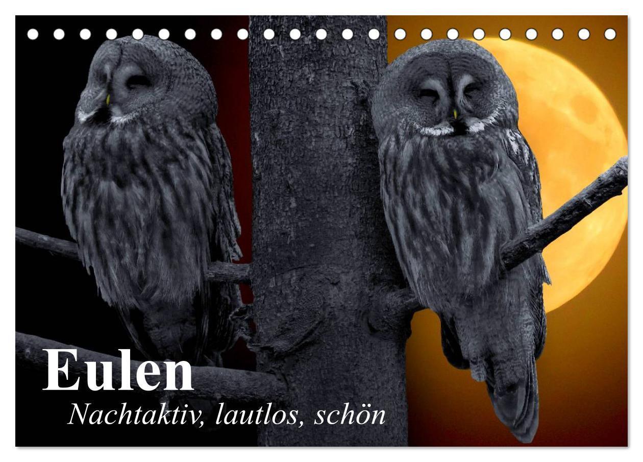 Cover: 9783383301377 | Eulen. Nachtaktiv, lautlos, schön (Tischkalender 2024 DIN A5 quer),...
