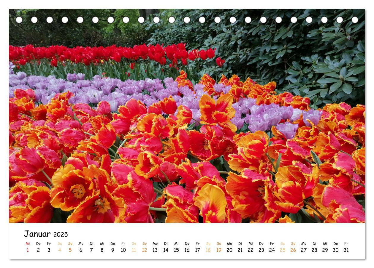 Bild: 9783383923623 | Auf Tour im Land der Tulpen (Tischkalender 2025 DIN A5 quer),...