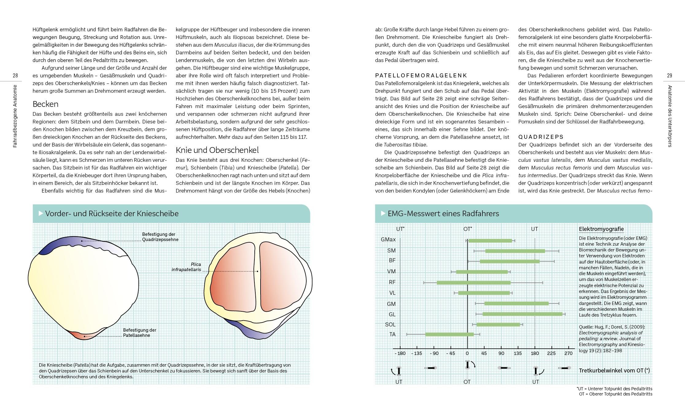 Bild: 9783742323194 | Dein Bike, dein Fitting | Phil Burt | Taschenbuch | 208 S. | Deutsch