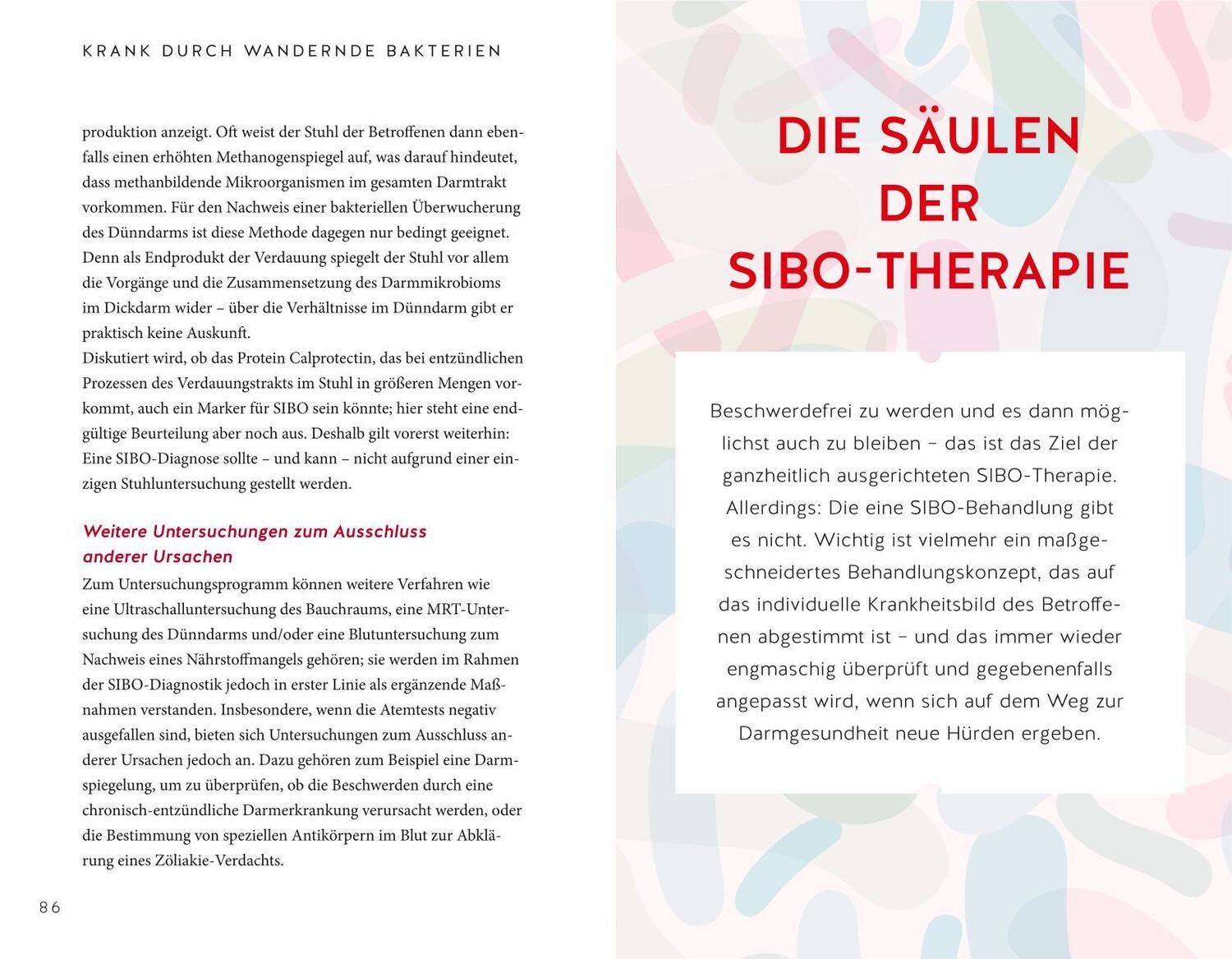 Bild: 9783833886072 | Endlich Heilung für den Reizdarm | Nicole Schaenzler | Taschenbuch