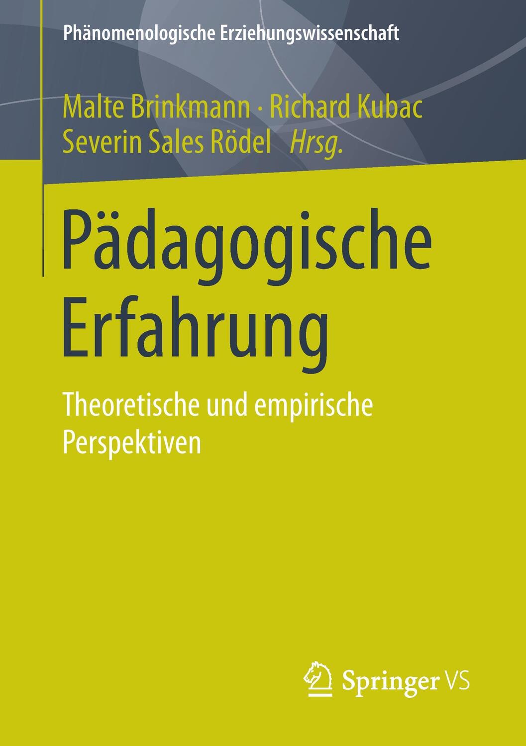 Cover: 9783658066178 | Pädagogische Erfahrung | Theoretische und empirische Perspektiven