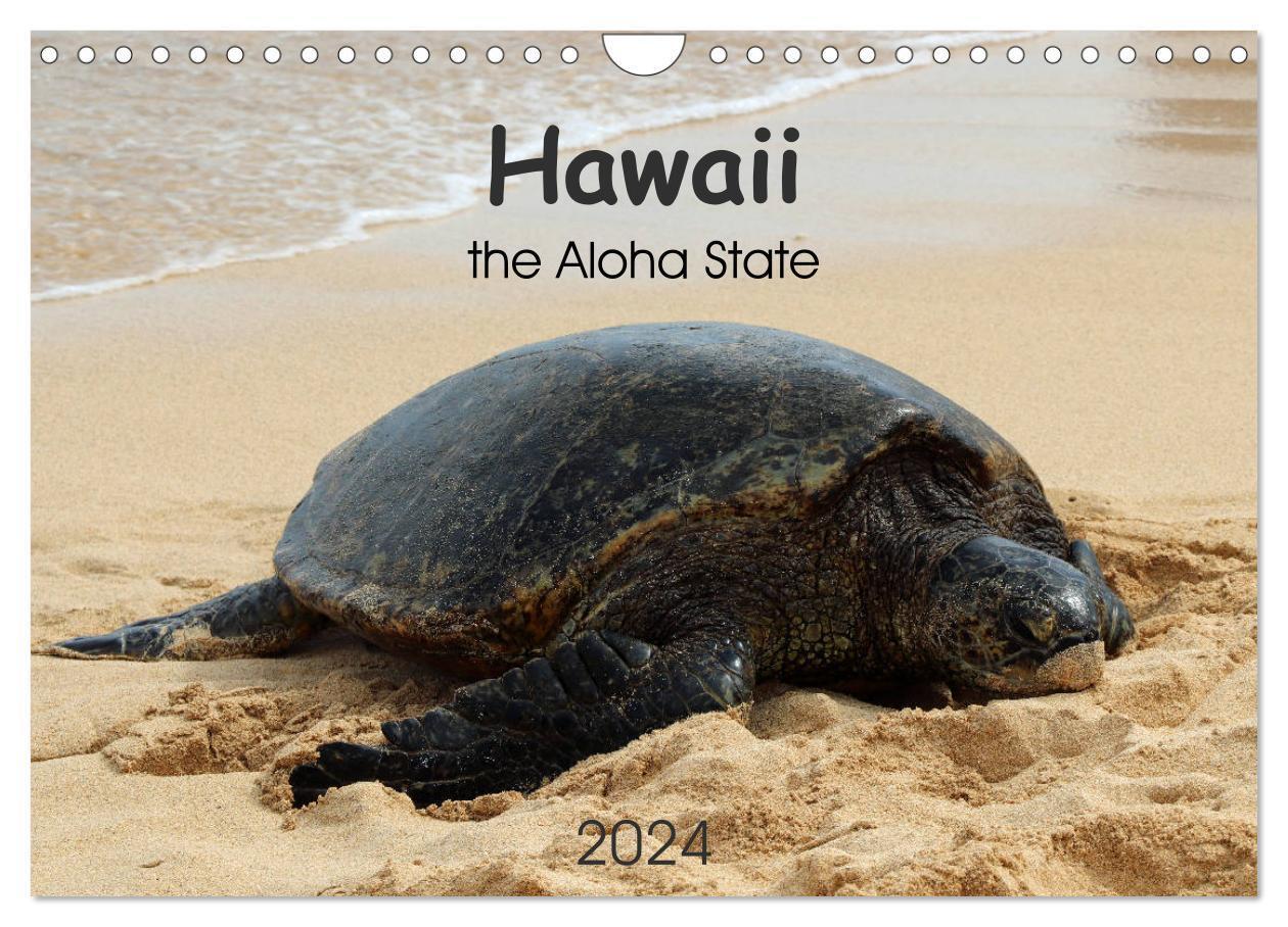 Cover: 9783675812451 | Hawaii the Aloha State (Wandkalender 2024 DIN A4 quer), CALVENDO...