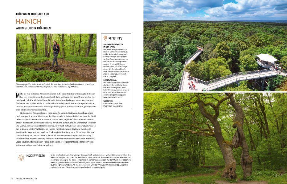 Bild: 9783866908260 | In 225 Reisen durch Europas Wälder | Jörg Berghoff (u. a.) | Buch