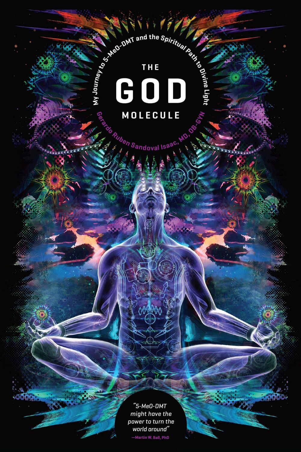 Cover: 9781611250497 | The God Molecule: 5-Meo-Dmt and the Spiritual Path to the Divine Light