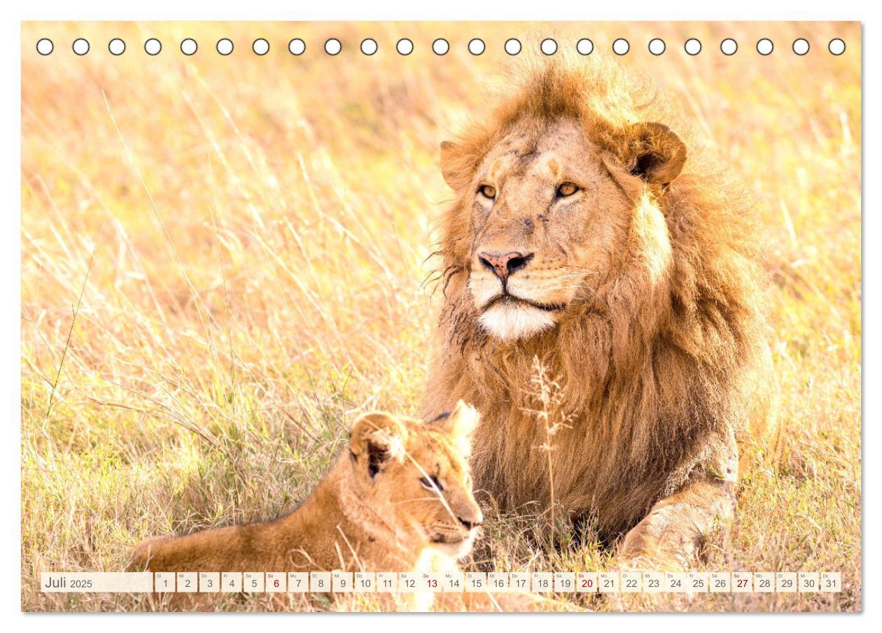 Bild: 9783435088874 | Afrikas Tiere. Majestäten in exotischer Wildnis (Tischkalender 2025...