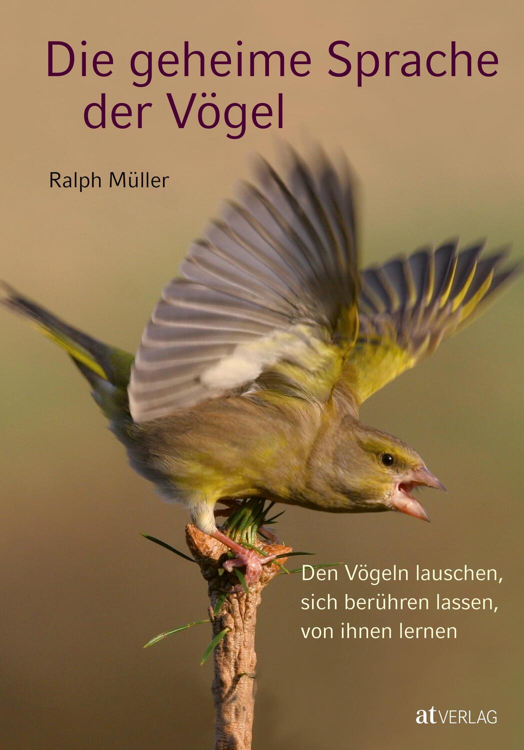 Cover: 9783038004882 | Die geheime Sprache der Vögel | Ralph Müller | Buch | Deutsch | 2010
