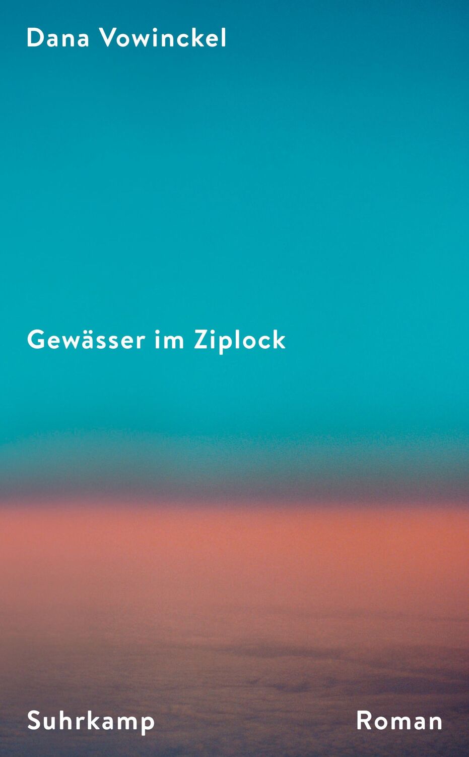 Cover: 9783518474440 | Gewässer im Ziplock | Dana Vowinckel | Taschenbuch | 362 S. | Deutsch