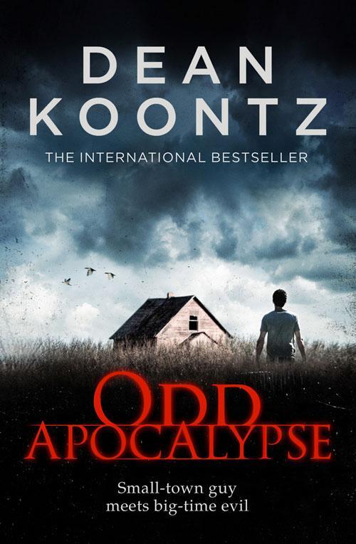 Cover: 9780007327027 | Odd Apocalypse | Dean Koontz | Taschenbuch | Englisch | 2013