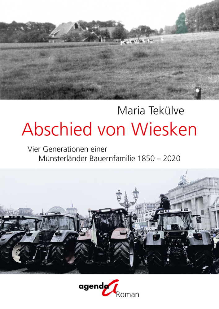 Cover: 9783896887696 | Abschied von Wiesken | Maria Tekülve | Taschenbuch | 542 S. | Deutsch