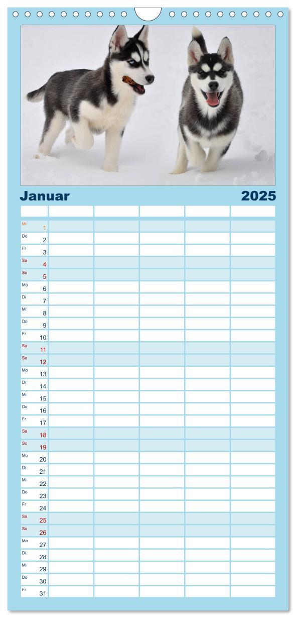 Bild: 9783457113264 | Familienplaner 2025 - Husky-Kalender mit 5 Spalten (Wandkalender,...