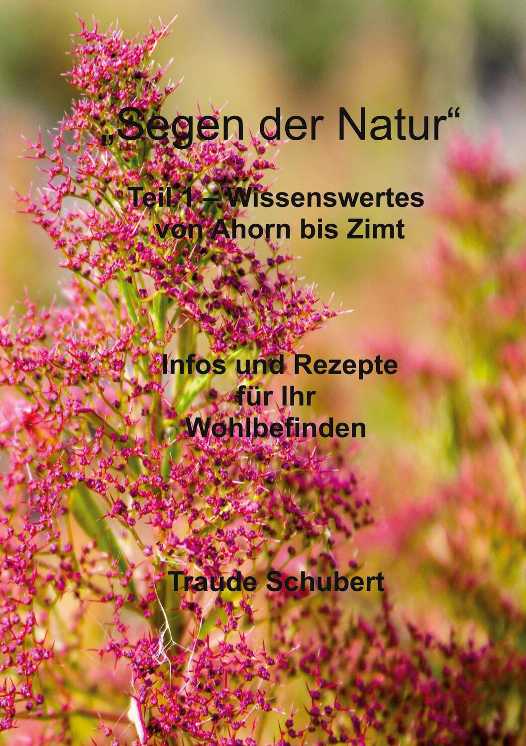 Cover: 9783758382536 | Segen der Natur - Teil 1 | Infos und Rezepte für Ihr Wohlbefinden