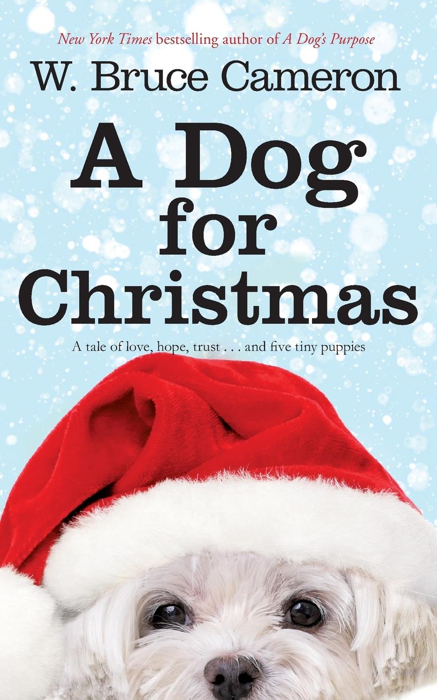 Cover: 9781447263241 | A Dog for Christmas | W. Bruce Cameron | Taschenbuch | Englisch | 2013