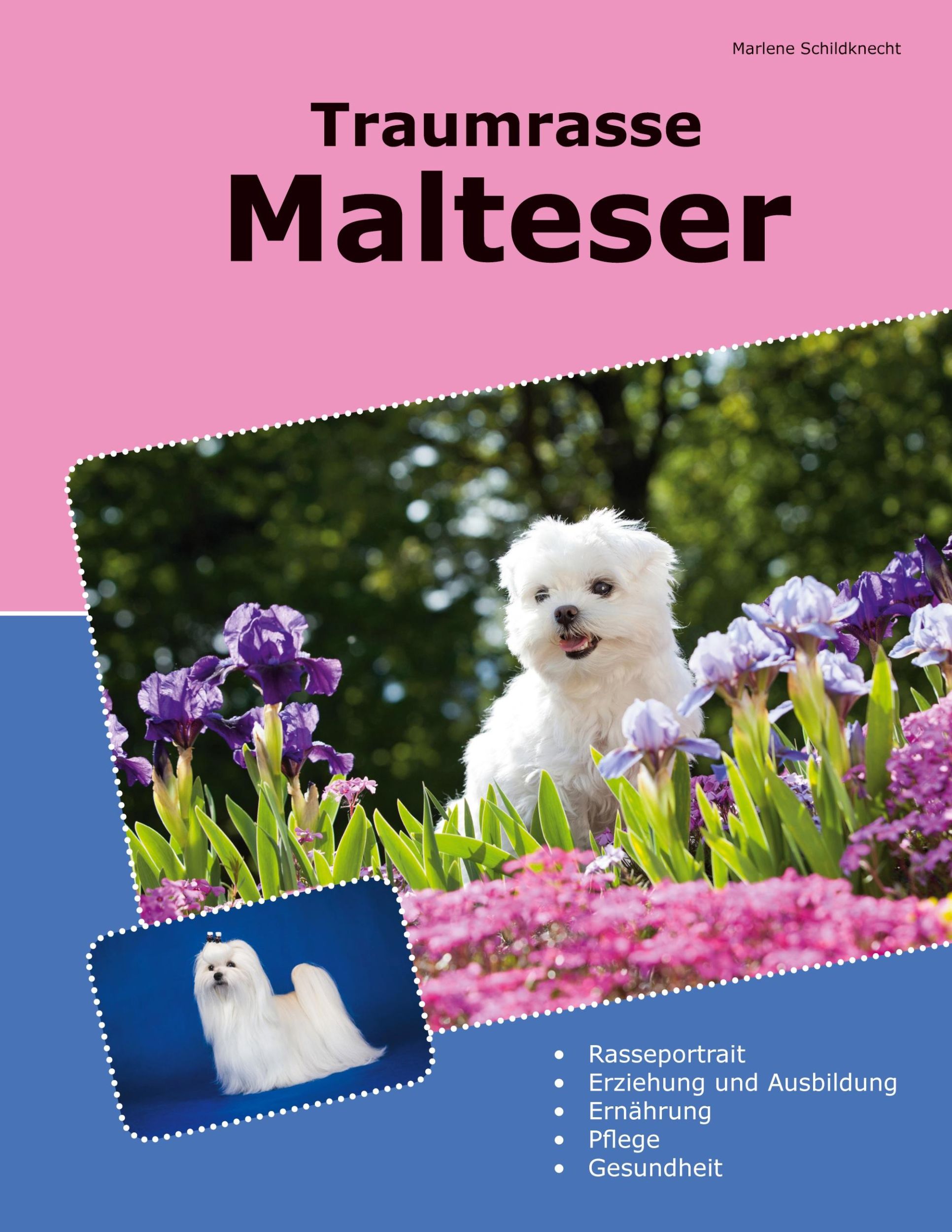 Cover: 9783759776372 | Traumrasse Malteser | Marlene Schildknecht | Taschenbuch | Paperback