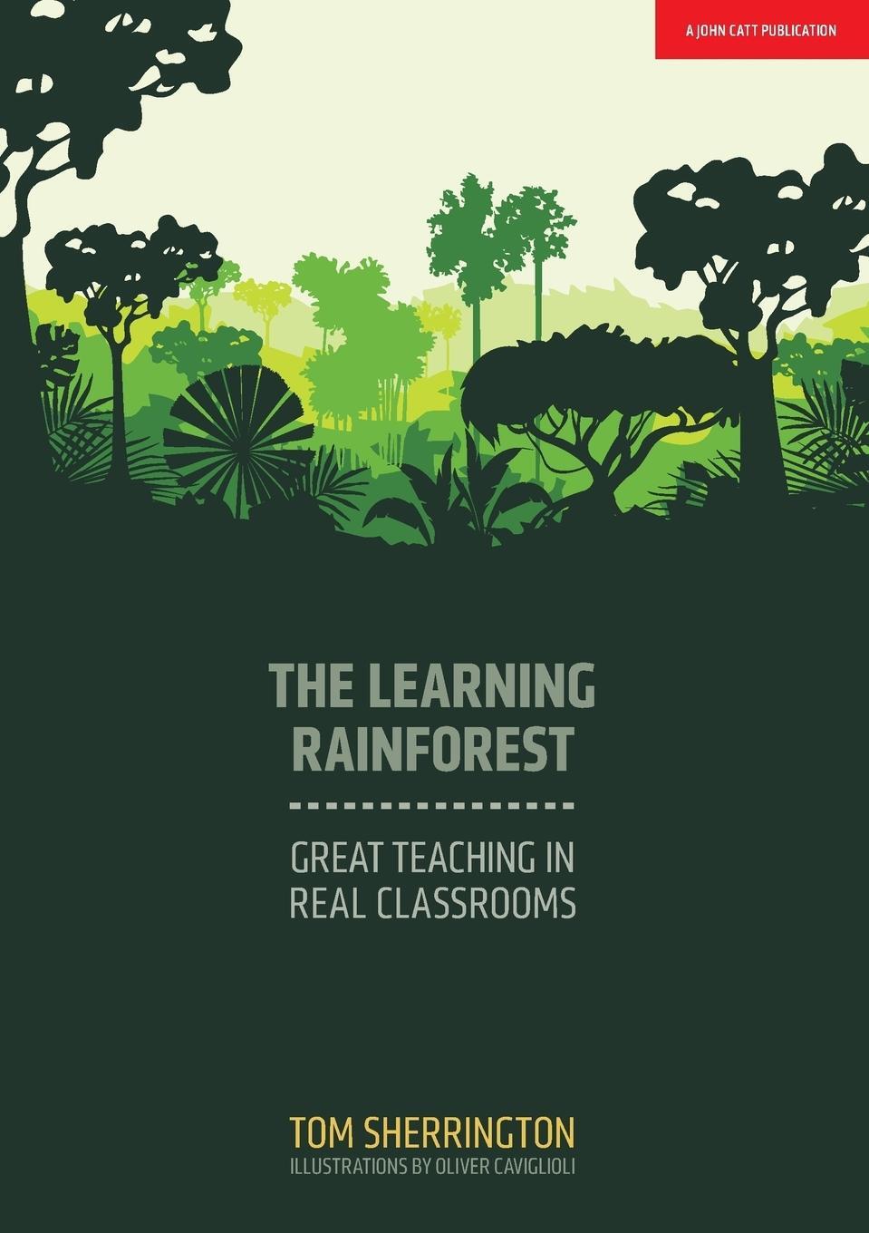 Cover: 9781911382355 | The Learning Rainforest | Great Teaching In Real Classroom | Buch