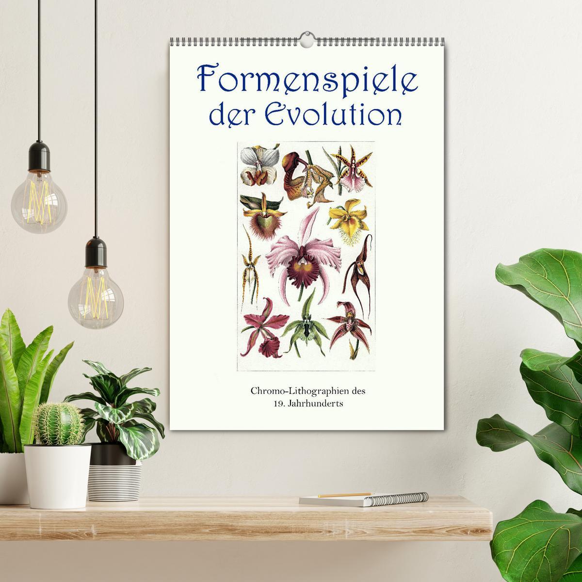 Bild: 9783435978236 | Formenspiele der Evolution. Chromolithographien des 19....