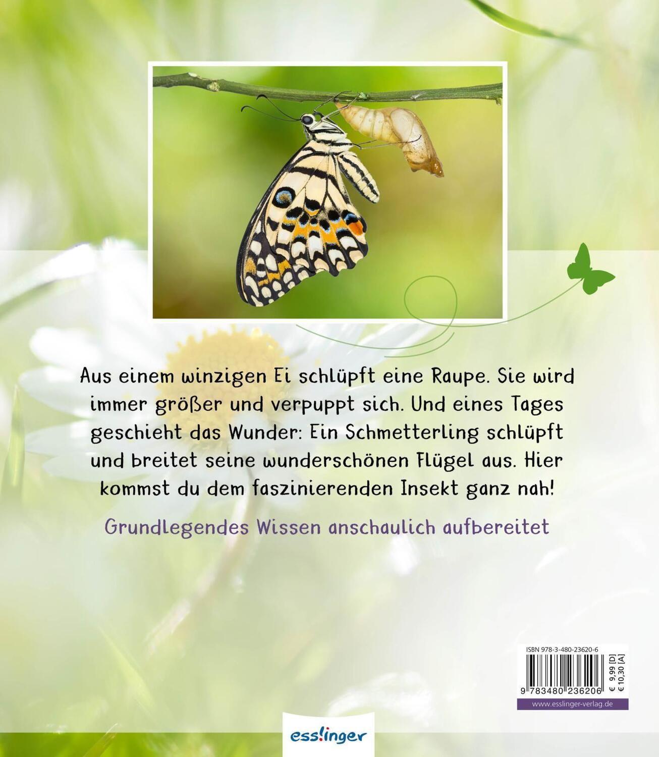 Rückseite: 9783480236206 | Meine große Tierbibliothek: Der Schmetterling | Valérie Tracqui | Buch