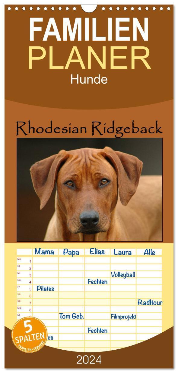 Cover: 9783675831148 | Familienplaner 2024 - Rhodesian Ridgeback Terminkalender mit 5...