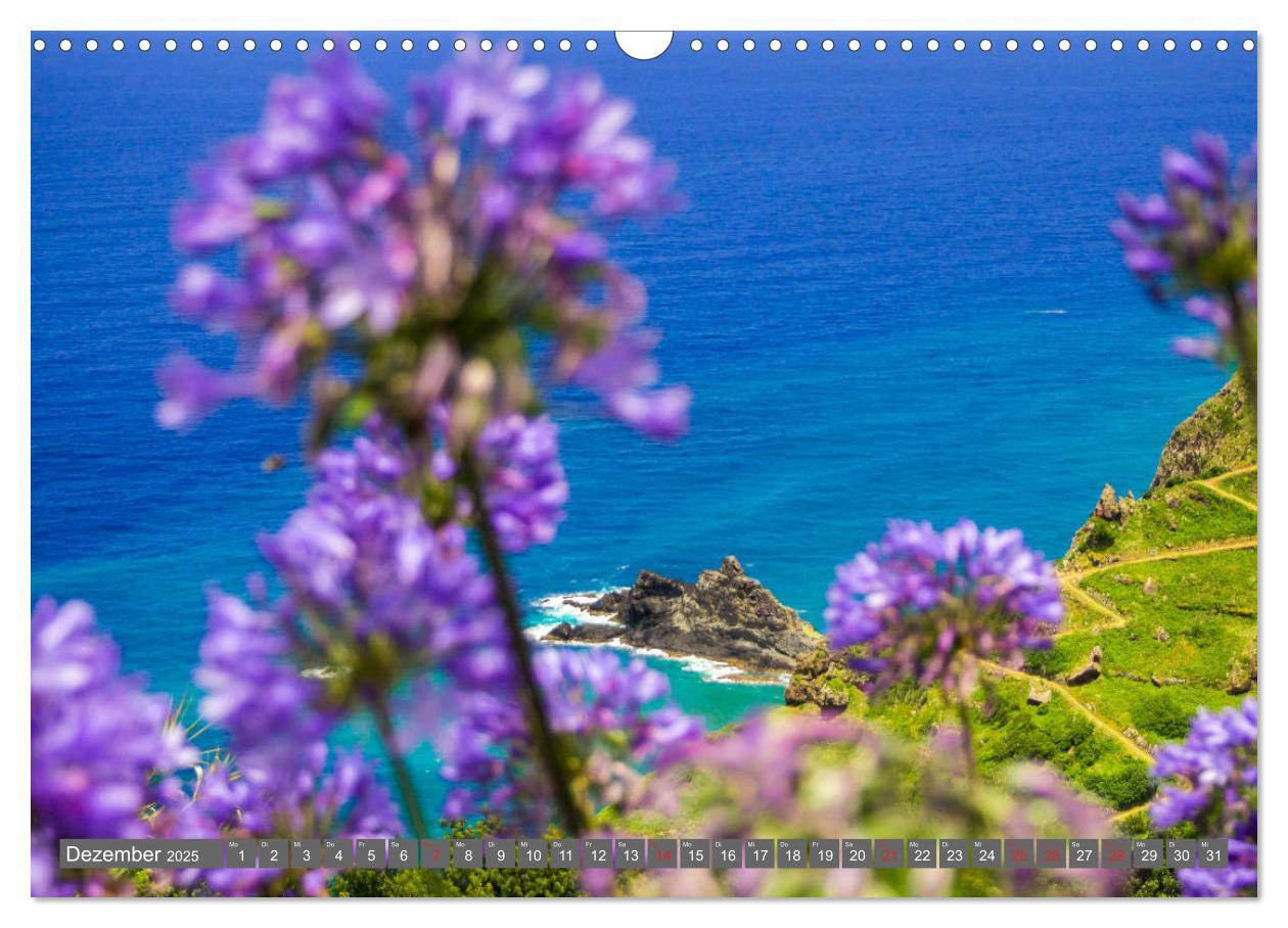 Bild: 9783435222742 | Madeira - Insel der Blumen 2025 (Wandkalender 2025 DIN A3 quer),...