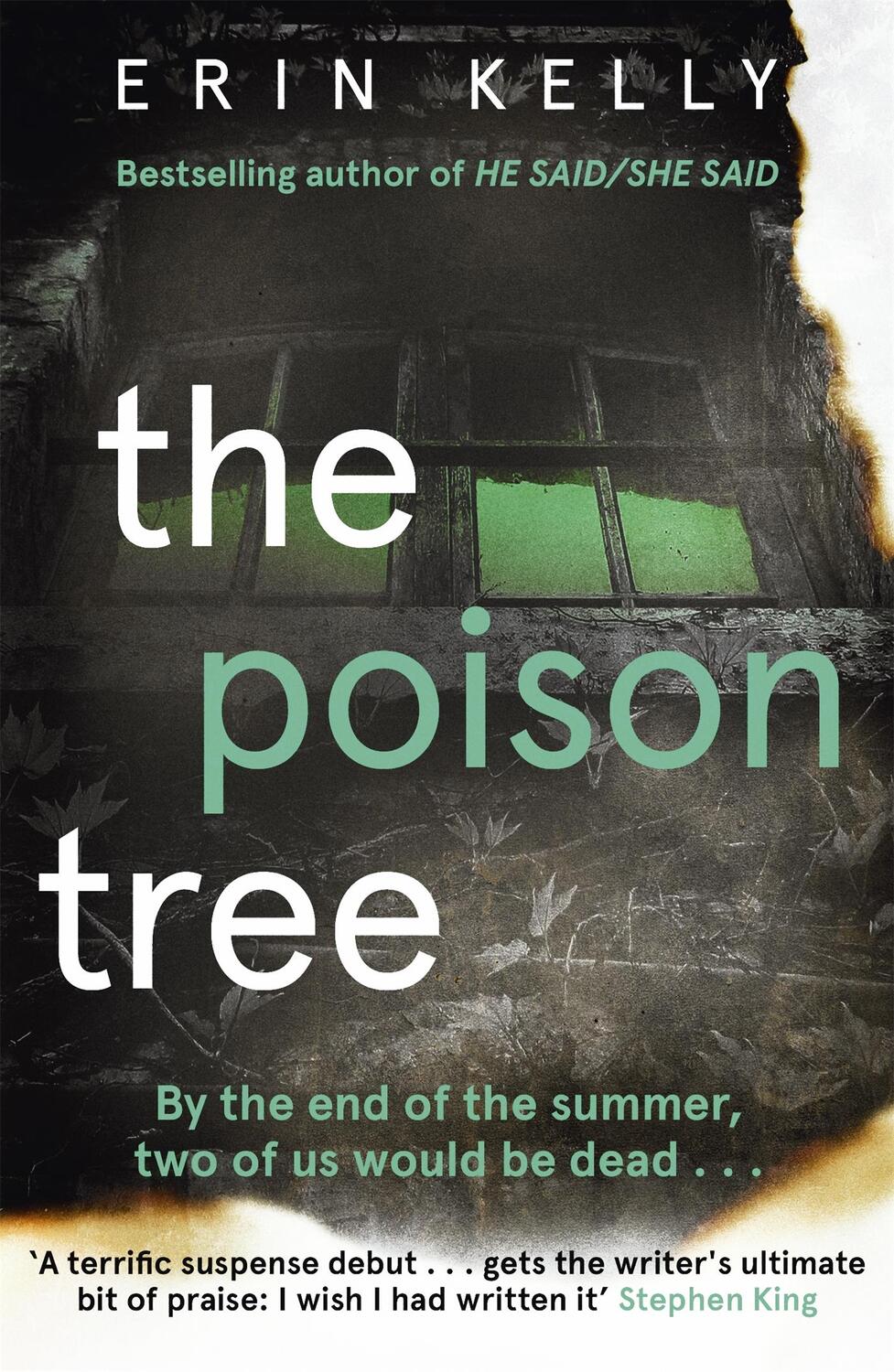 Cover: 9781444701050 | The Poison Tree | Erin Kelly | Taschenbuch | Kartoniert / Broschiert