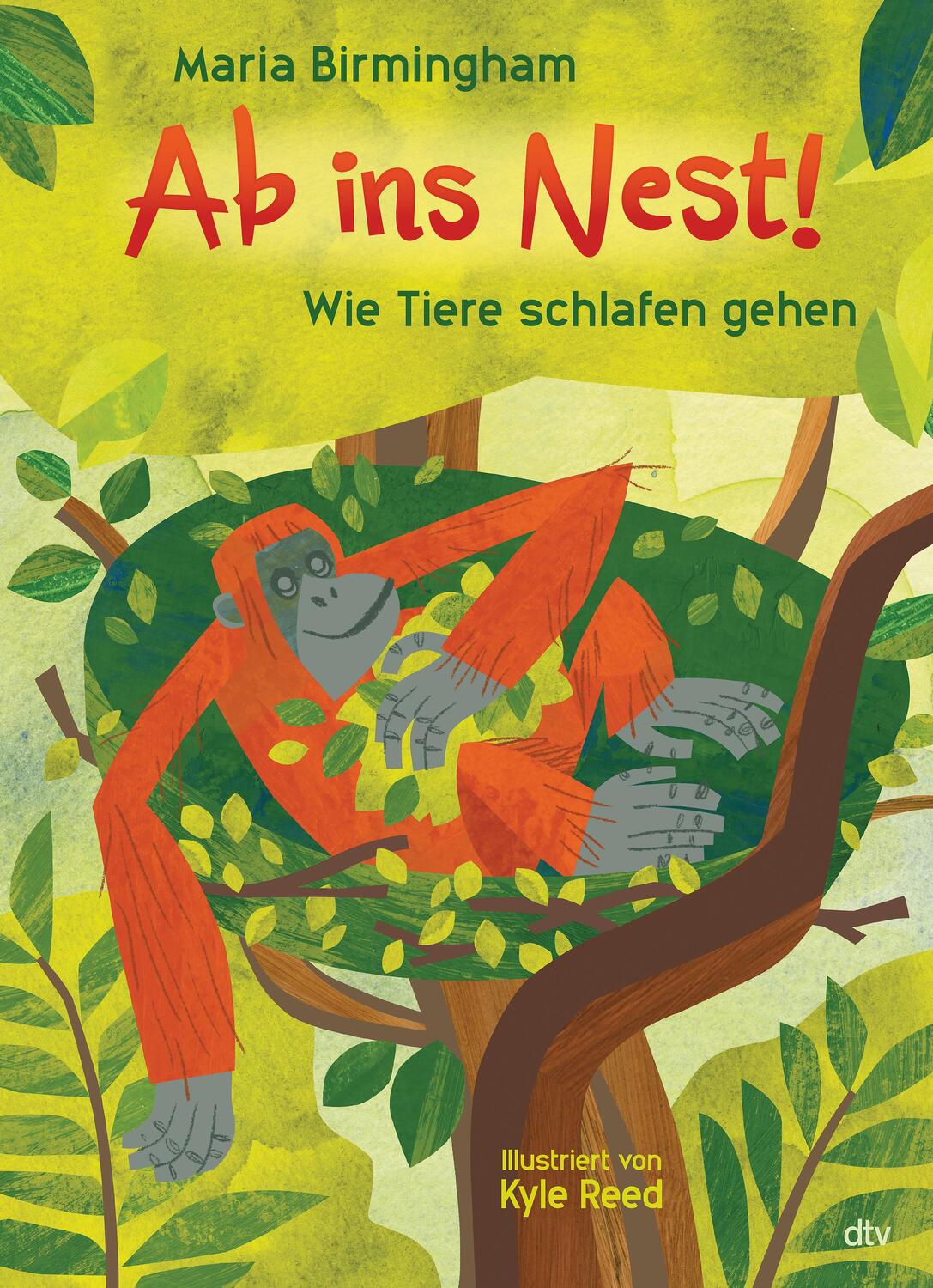 Cover: 9783423764469 | Ab ins Nest! - Wie Tiere schlafen gehen | Maria Birmingham | Buch