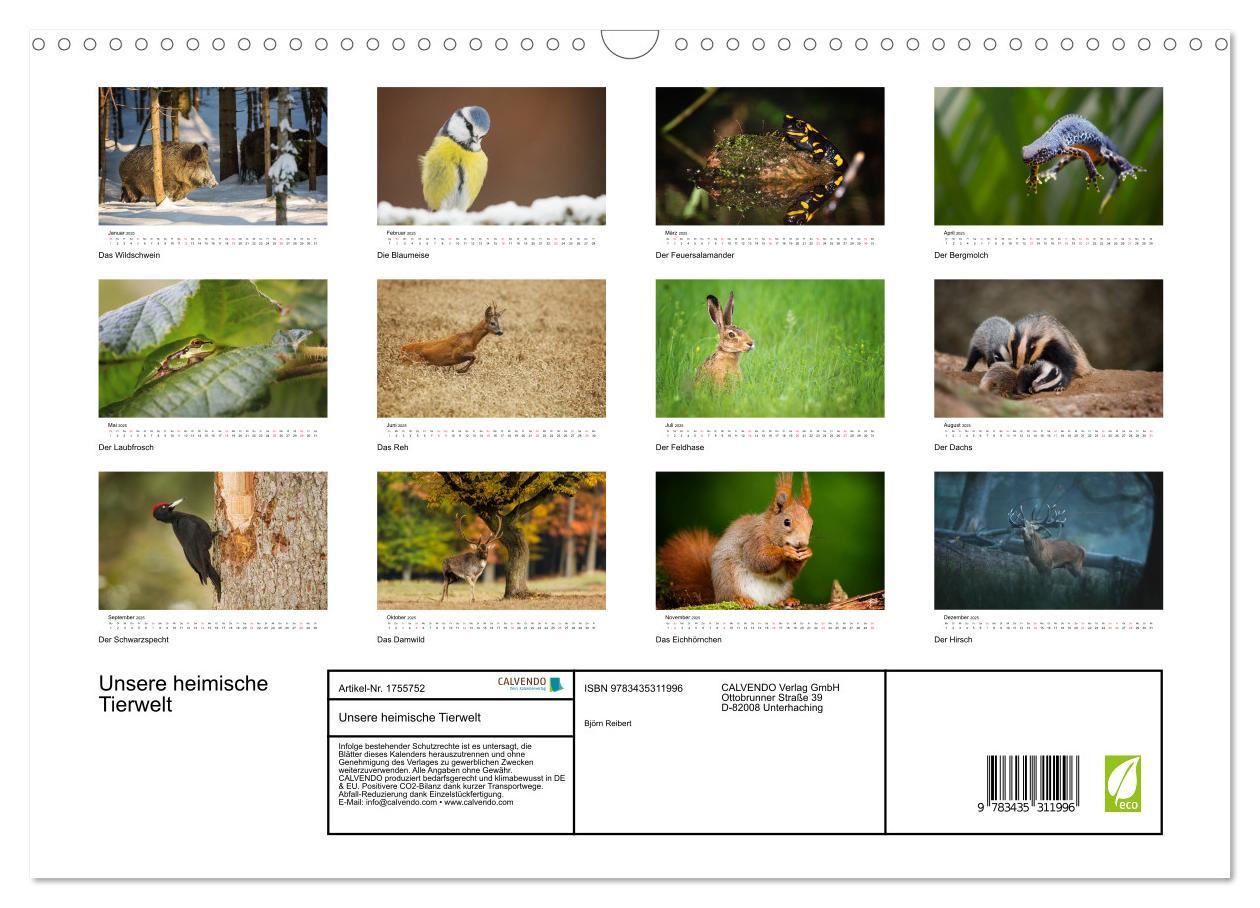 Bild: 9783435311996 | Unsere heimische Tierwelt (Wandkalender 2025 DIN A3 quer), CALVENDO...