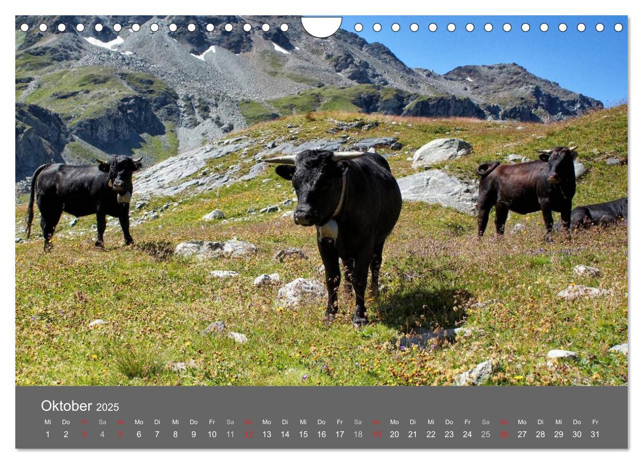 Bild: 9783435611812 | Wallis. Perle der Schweiz (Wandkalender 2025 DIN A4 quer), CALVENDO...