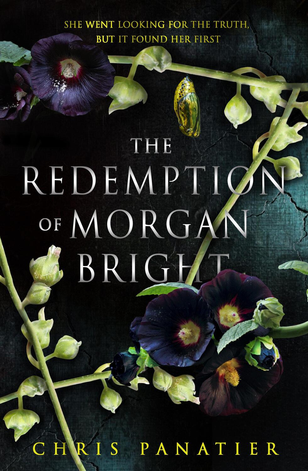 Cover: 9781915202895 | The Redemption of Morgan Bright | Chris Panatier | Taschenbuch | 2024