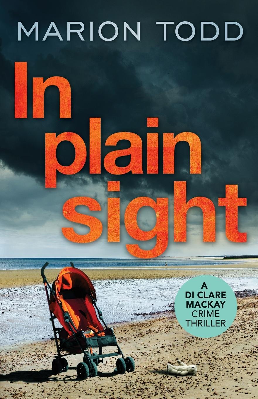 Cover: 9781788638197 | In Plain Sight | Marion Todd | Taschenbuch | Kartoniert / Broschiert