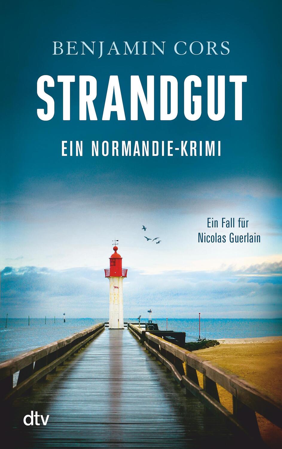 Cover: 9783423217163 | Strandgut | Benjamin Cors | Taschenbuch | Nicolas Guerlain | Deutsch