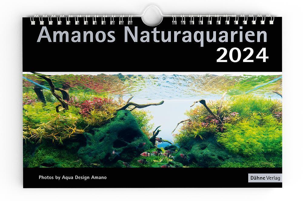Cover: 9783944821948 | Amanos Naturaquarien 2024 | Takashi Amano | Kalender | Spiralbindung