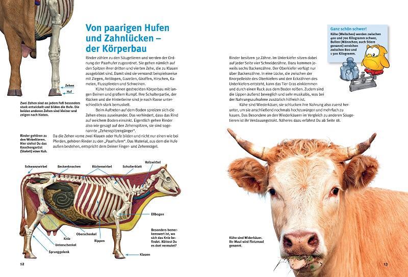 Bild: 9783866593978 | Entdecke die Kühe | Jutta Heise (u. a.) | Buch | 64 S. | Deutsch