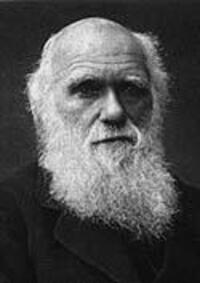 Autor: 9780007902231 | The Origin of Species | Charles Darwin | Taschenbuch | 604 S. | 2011