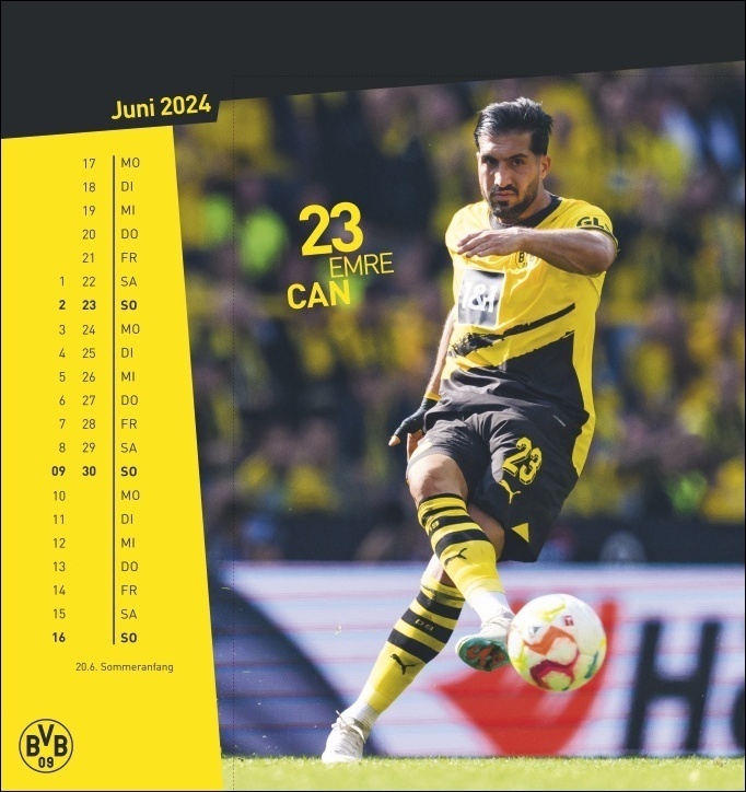 Bild: 9783756400782 | BVB Postkartenkalender 2024. Kleiner Kalender für große Fans: Die...