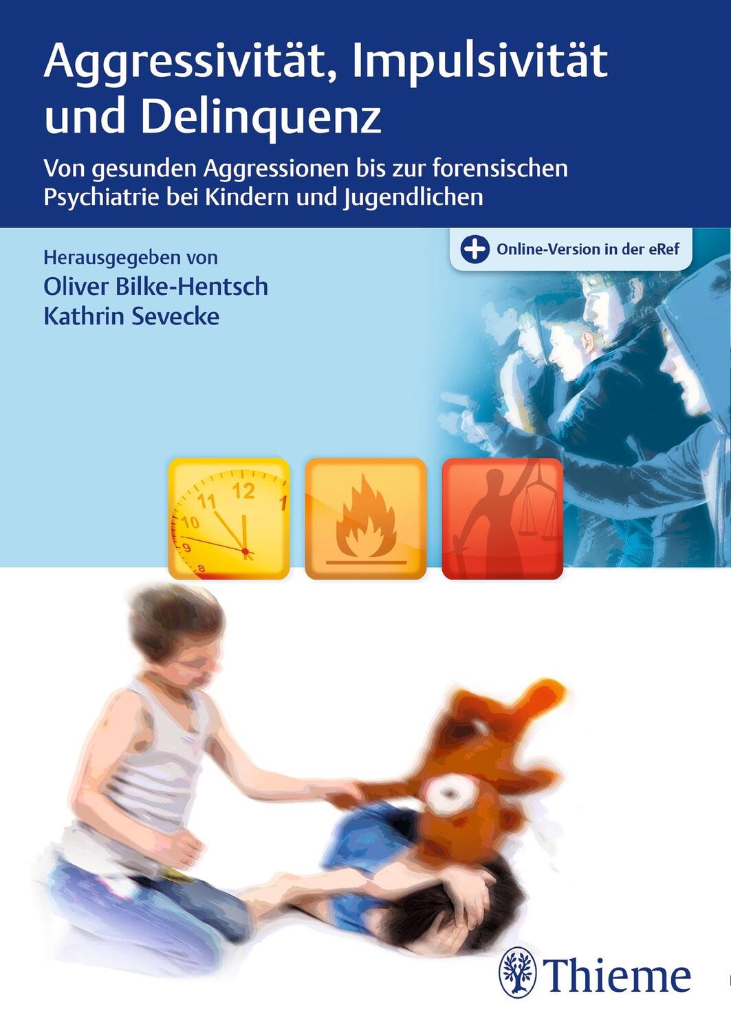 Cover: 9783132038516 | Aggressivität, Impulsivität und Delinquenz | Bilke-Hentsch (u. a.)