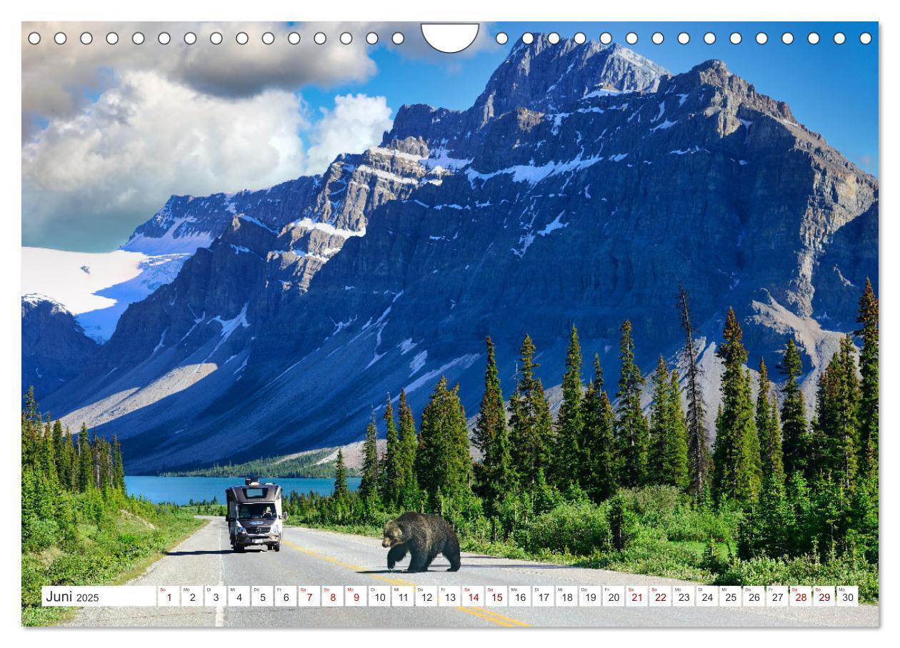 Bild: 9783383855955 | KANADA - Die Bären der Rocky Mountains (Wandkalender 2025 DIN A4...