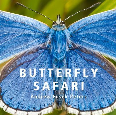 Cover: 9781802583700 | Butterfly Safari | Andrew Fusek Peters | Buch | Gebunden | Englisch