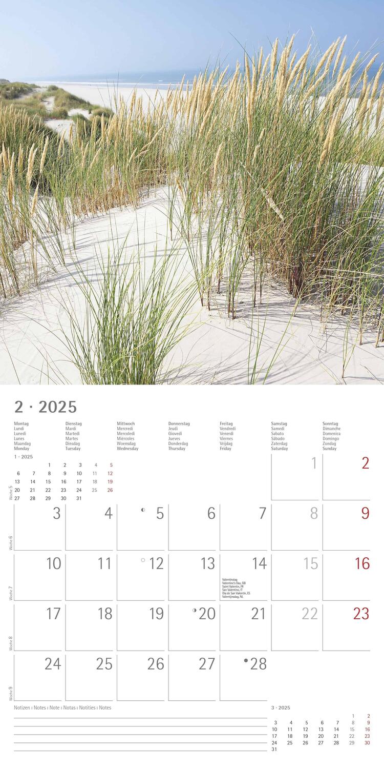 Bild: 4251732340889 | Seeblick 2025 - Broschürenkalender 30x30 cm (30x60 geöffnet) -...