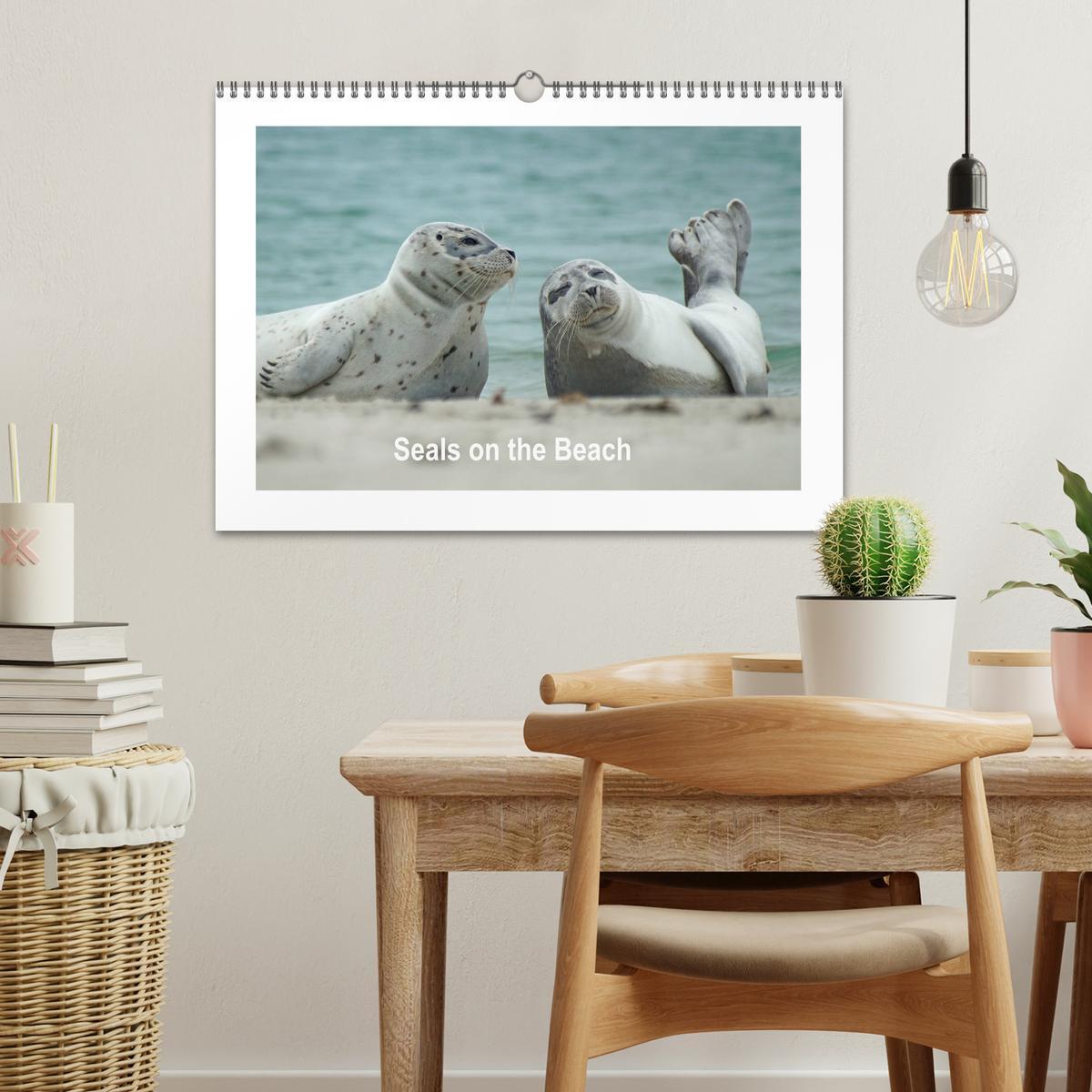 Bild: 9781325938506 | Seals on the Beach (Wall Calendar 2025 DIN A3 landscape), CALVENDO...