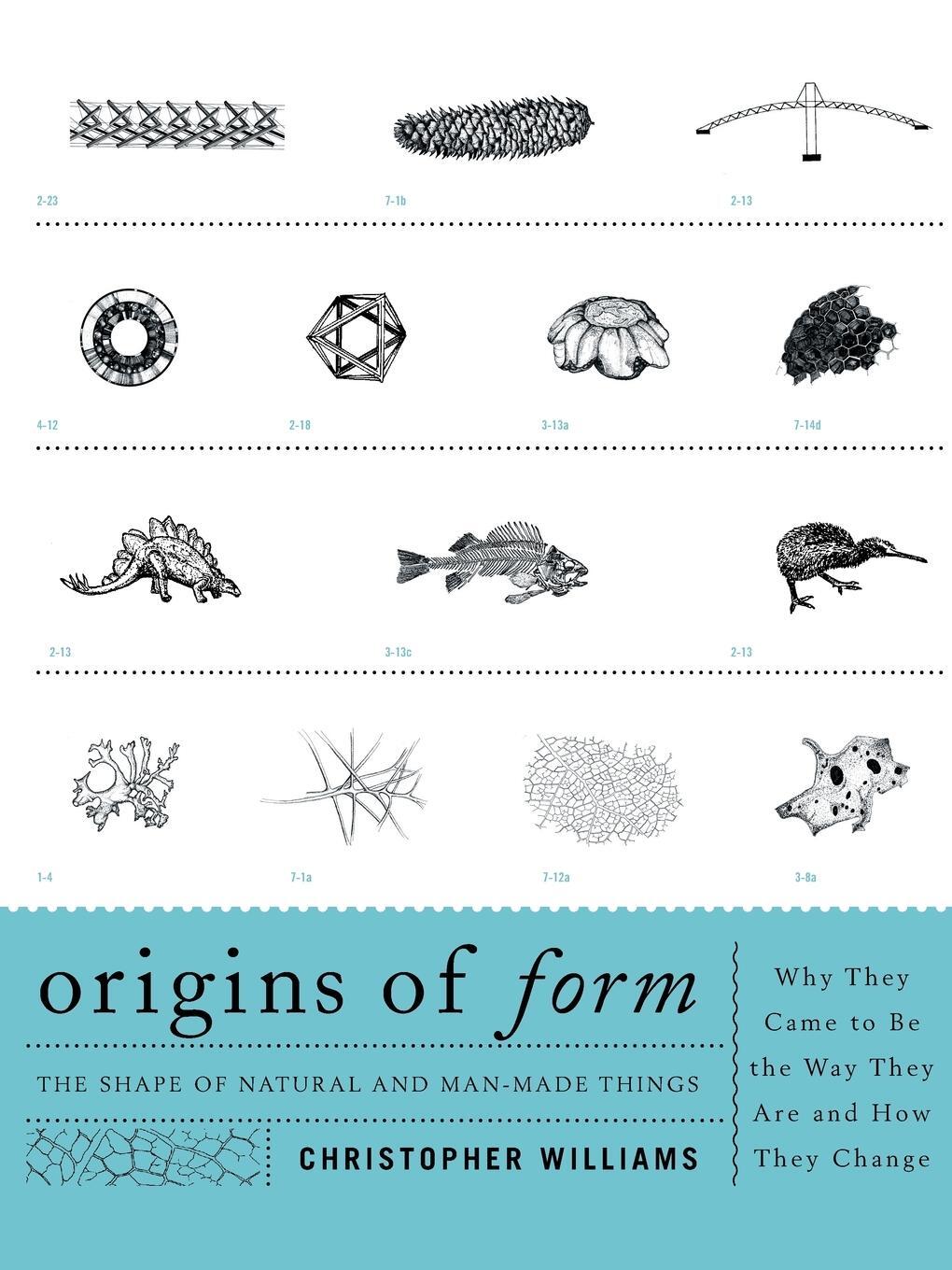 Cover: 9781589798083 | Origins of Form | Christopher Williams | Taschenbuch | Paperback