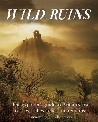 Cover: 9781910636022 | Wild Ruins | Dave Hamilton | Taschenbuch | Kartoniert / Broschiert