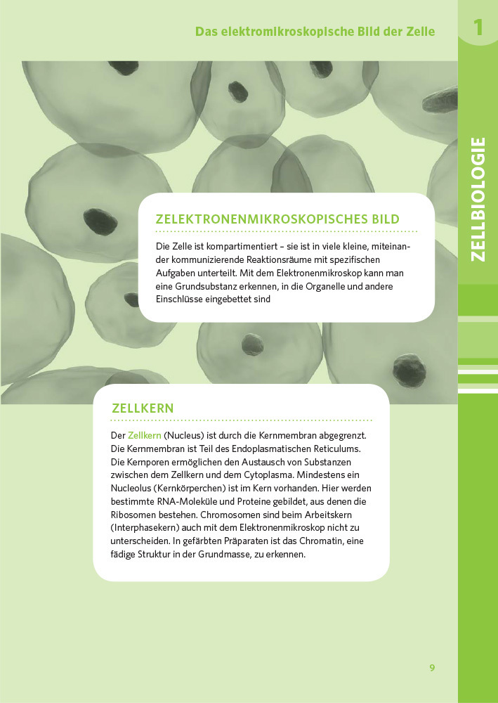 Bild: 9783125625631 | PONS Der große Abi-Check Biologie | Taschenbuch | Deutsch | 2019