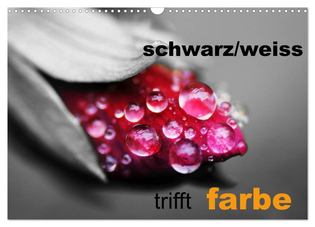 Cover: 9783435753178 | schwarz/weiß trifft farbe (Wandkalender 2025 DIN A3 quer), CALVENDO...