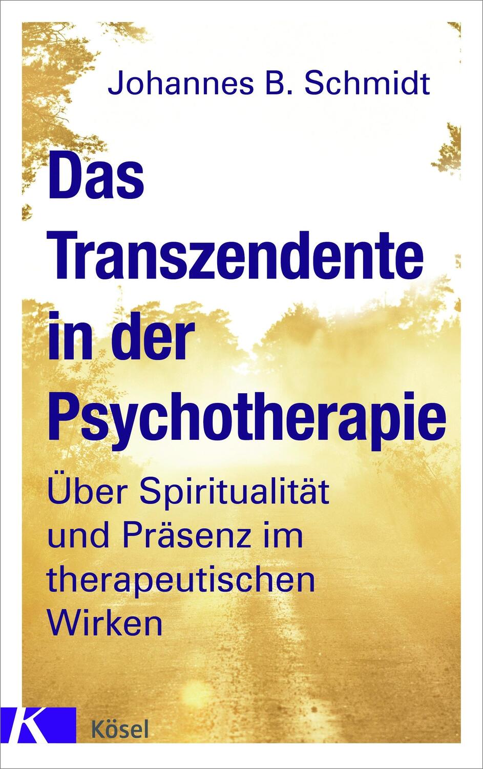 Cover: 9783466347339 | Das Transzendente in der Psychotherapie | Johannes B. Schmidt | Buch