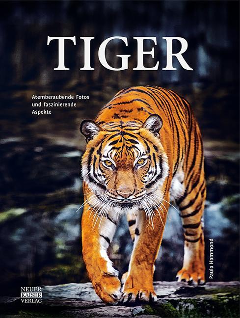 Cover: 9783846830055 | Tiger | Atemberaubende Fotos und faszinierende Aspekte | Paula Hammond
