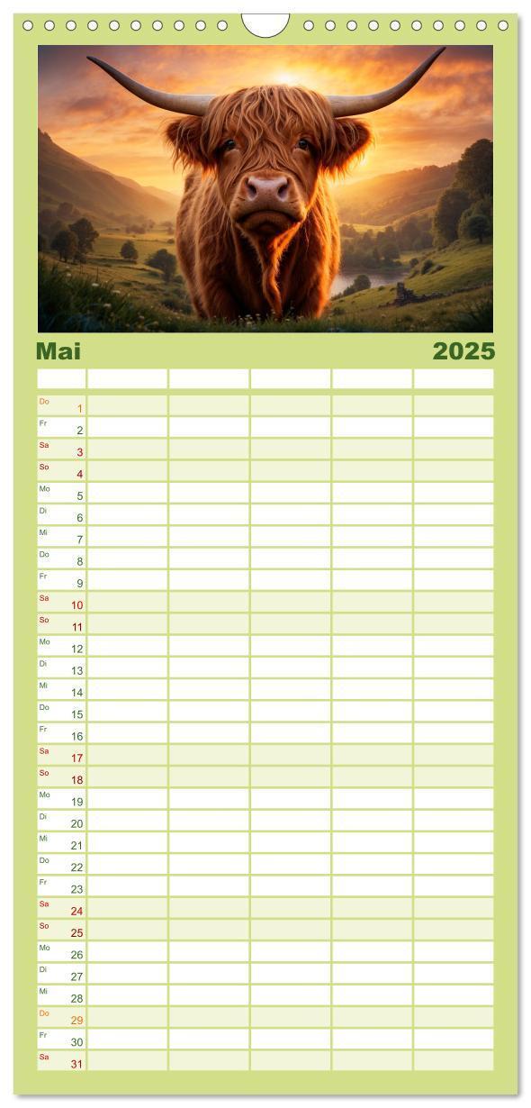 Bild: 9783457135563 | Familienplaner 2025 - Highland Kühe mit 5 Spalten (Wandkalender, 21...