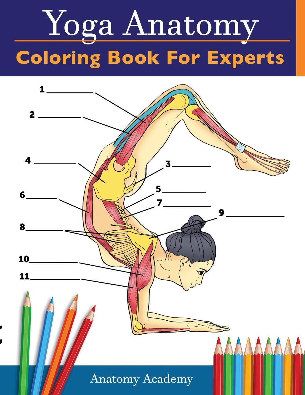Cover: 9781914207020 | Yoga Anatomy Coloring Book for Experts | Anatomy Academy | Taschenbuch