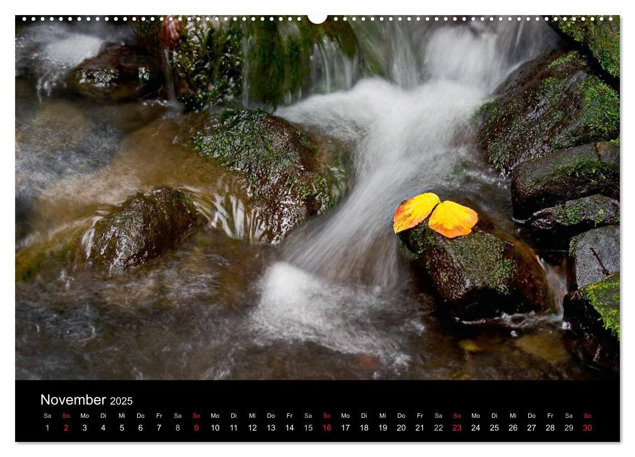 Bild: 9783435815920 | Naturpark Teutoburger Wald - Silberbach (Wandkalender 2025 DIN A2...