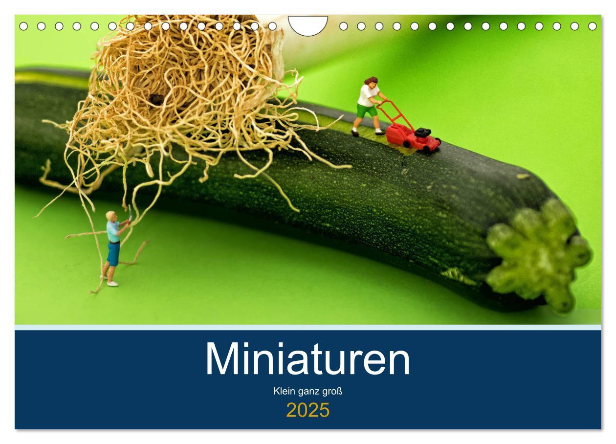 Cover: 9783435344772 | Miniaturen - Klein ganz groß (Wandkalender 2025 DIN A4 quer),...